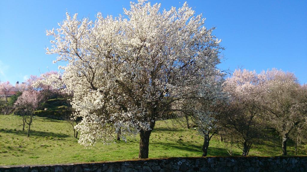 Flor Do Douro - Comercio E Hotelaria, Lda Miranda do Douro Εξωτερικό φωτογραφία